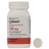 canadian-pharmacy-Lincocin canadian-pharmacy-Lincocin